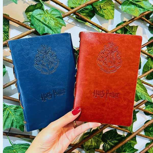 Di-rio-Retr-do-Harry-Potter-A-magia-de-Hogwarts-em-suas-m-os-1.png