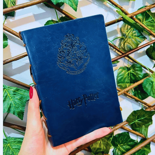 Di-rio-Retr-do-Harry-Potter-A-magia-de-Hogwarts-em-suas-m-os-5.png