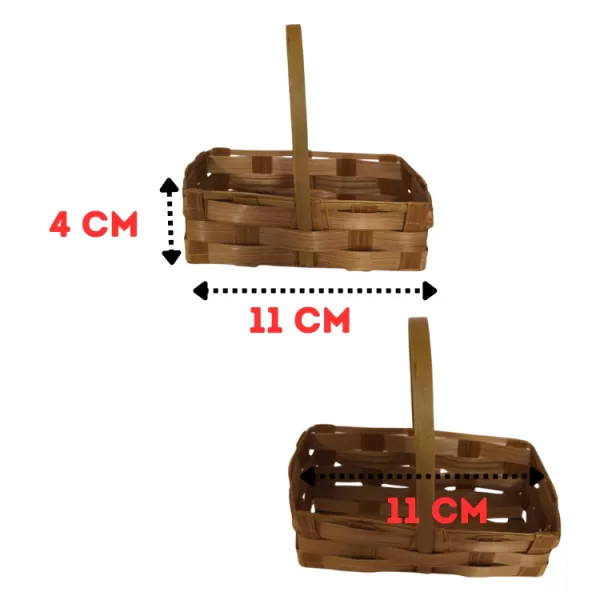 cestasa-9.png
