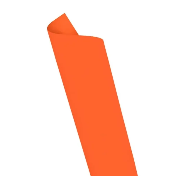 160231-800-auto.webp