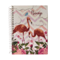 Caderno-Universit-rio-16-Mat-rias-26.png