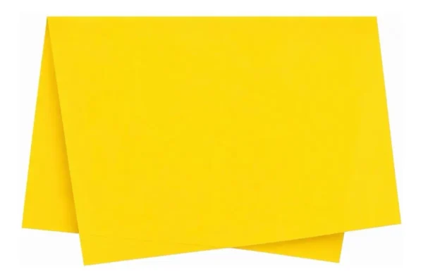 D-NQ-NP-2-X-650436-MLB115067236757-072026-F-papel-seda-50x70-amarelo-canario-100-folhas.webp D-NQ-NP-2-X-650436-MLB115067236757-072026-F-papel-seda-50x70-amarelo-canario-100-folhas.webp