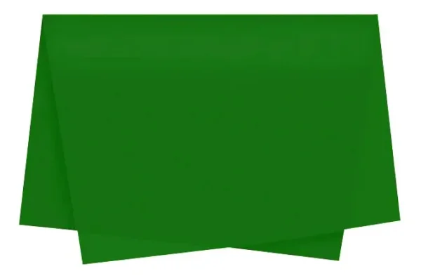 D-NQ-NP-2-X-842902-MLB113816035715-062026-F-papel-de-seda-50x70cm-verde-bandeira-10-unidades.webp