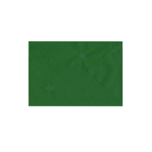 Envelope Convite Verde Unidade